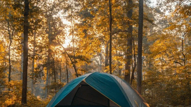 Pastor Vacation and Fall Break