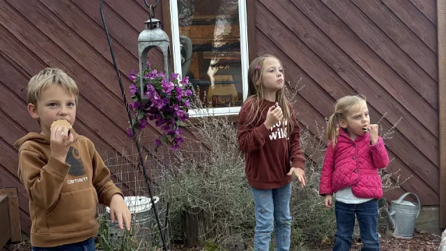Thank You for a Wonderful Fall Fun Day